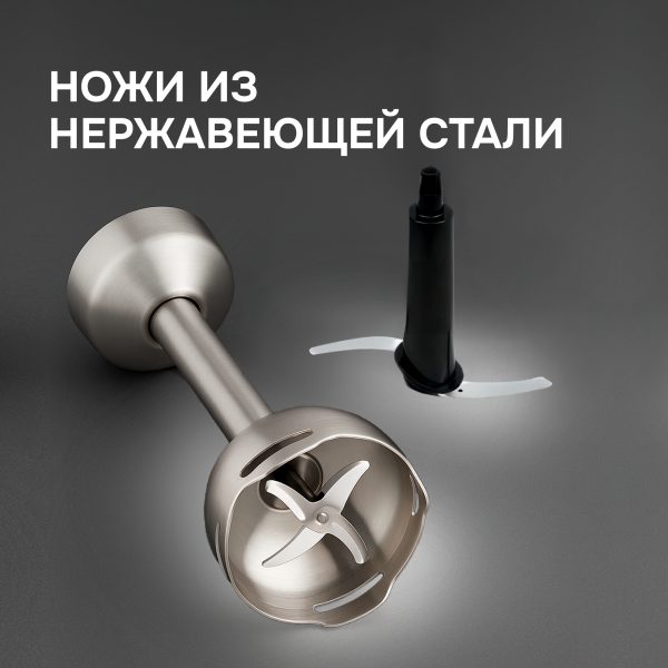 Блендер Zigmund & Shtain BH-241 M