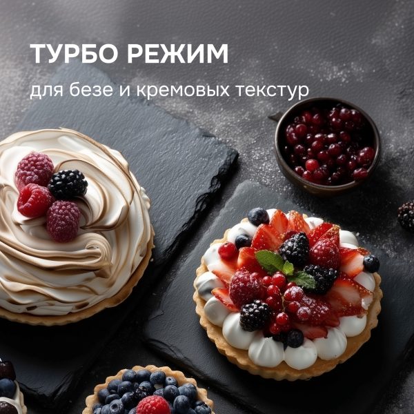 Блендер Zigmund & Shtain BH-242 M