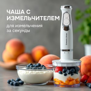 Блендер Zigmund & Shtain BH-244 M