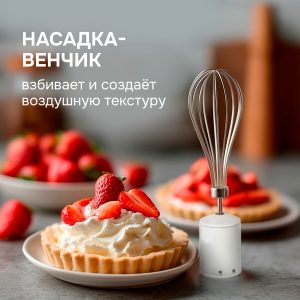 Блендер Zigmund & Shtain BH-244 M