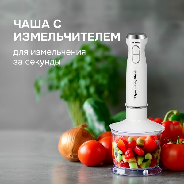 Блендер Zigmund & Shtain BH-344 M