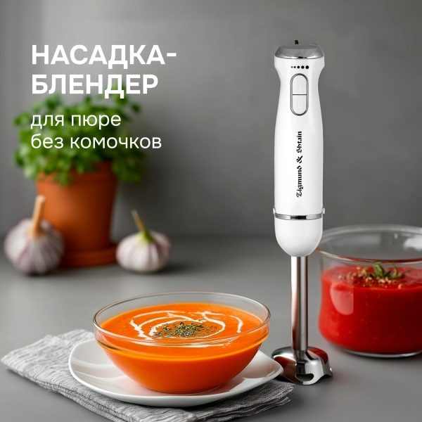 Блендер Zigmund & Shtain BH-344 M