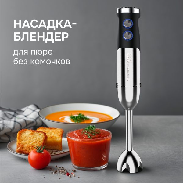 Блендер Zigmund & Shtain BH-348 M