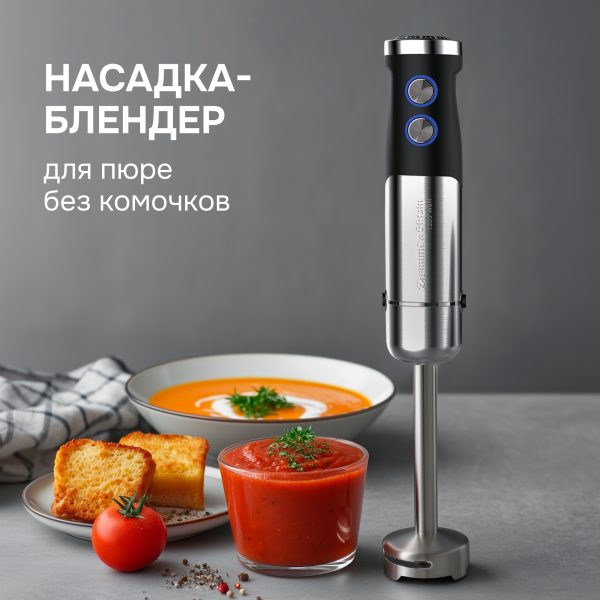 Блендер Zigmund & Shtain BH-350 M