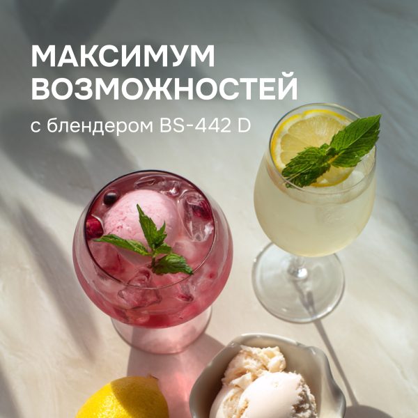 Блендер Zigmund & Shtain BS-441 D