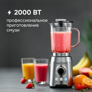 Блендер Zigmund & Shtain BS-444 D