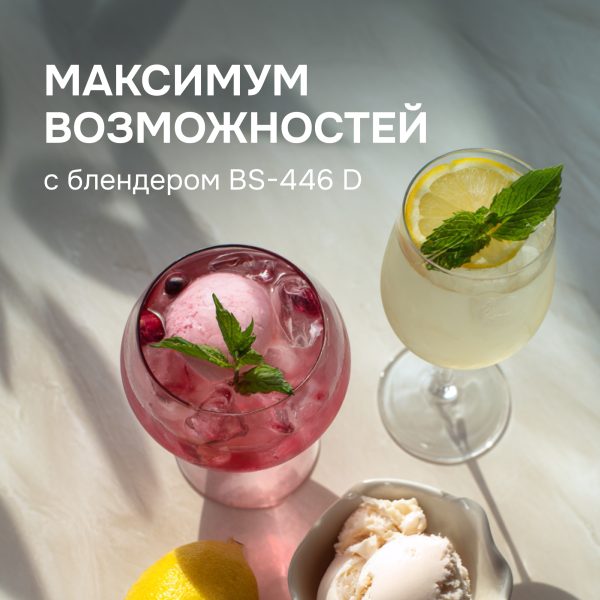 Блендер Zigmund & Shtain BS-446 D