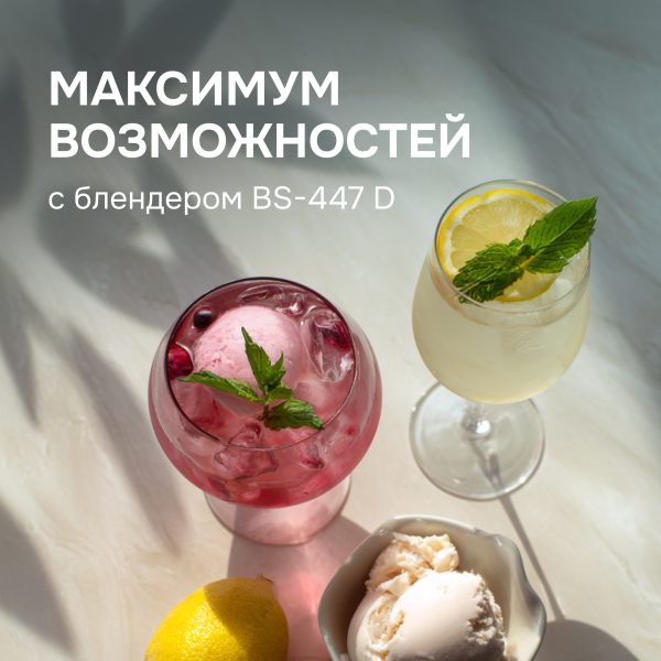 Блендер Zigmund & Shtain BS-447 D