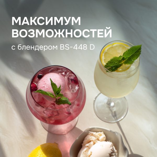 Блендер Zigmund & Shtain BS-448 D