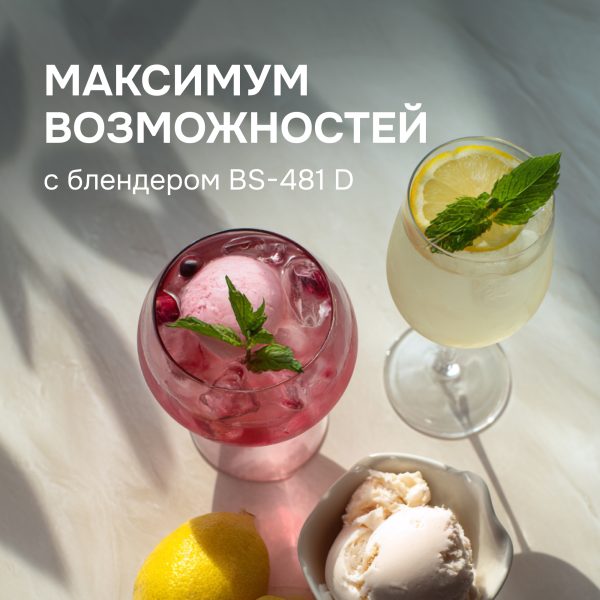 Блендер Zigmund & Shtain BS-481 D