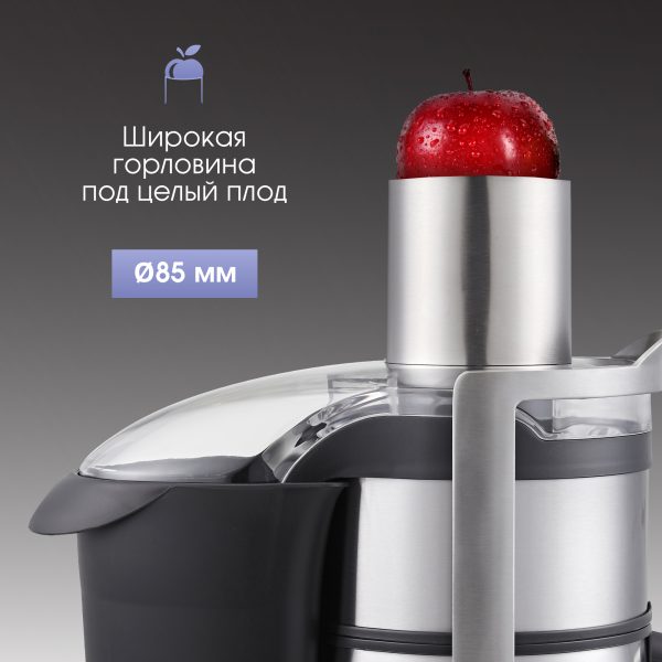 Соковыжималка Zigmund & Shtain EJ-755