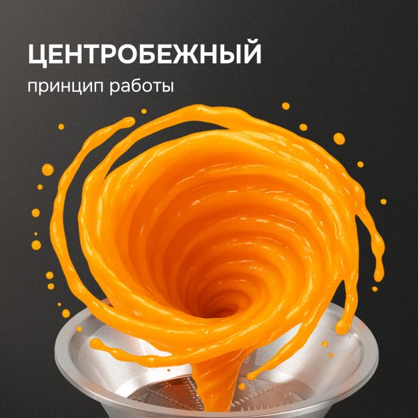 Соковыжималка Zigmund & Shtain EJ-756