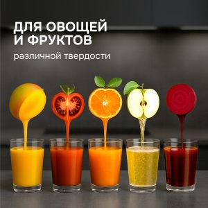 Соковыжималка Zigmund & Shtain EJ-756