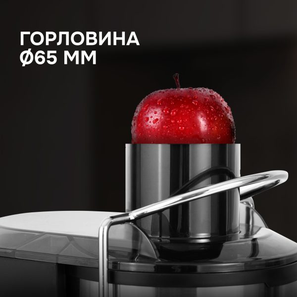 Соковыжималка Zigmund & Shtain EJ-757