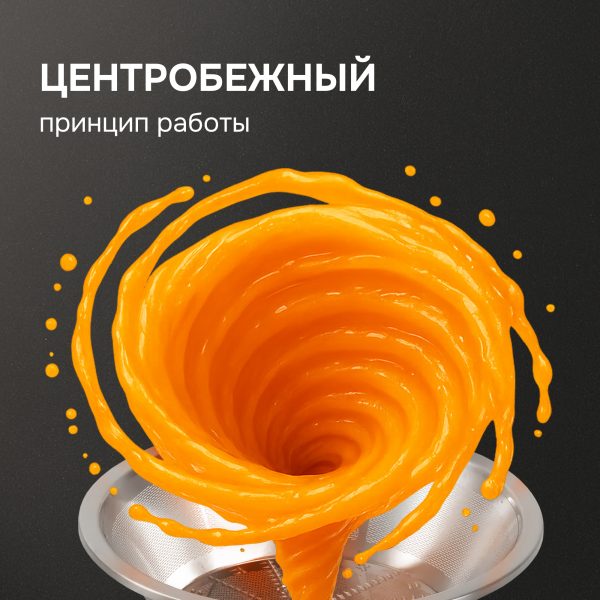 Соковыжималка Zigmund & Shtain EJ-757