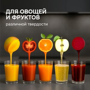 Соковыжималка Zigmund & Shtain EJ-757