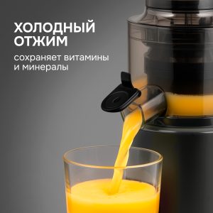 Соковыжималка Zigmund & Shtain ESJ-771