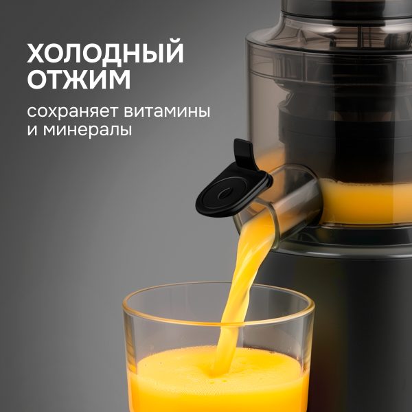 Соковыжималка Zigmund & Shtain ESJ-771