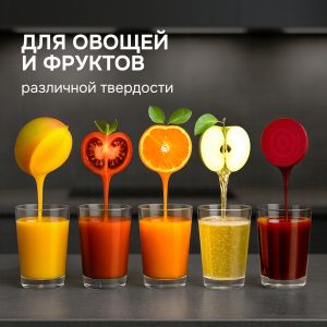 Соковыжималка Zigmund & Shtain ESJ-771