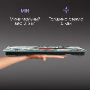 Напольные весы Zigmund & Shtain ZS-136