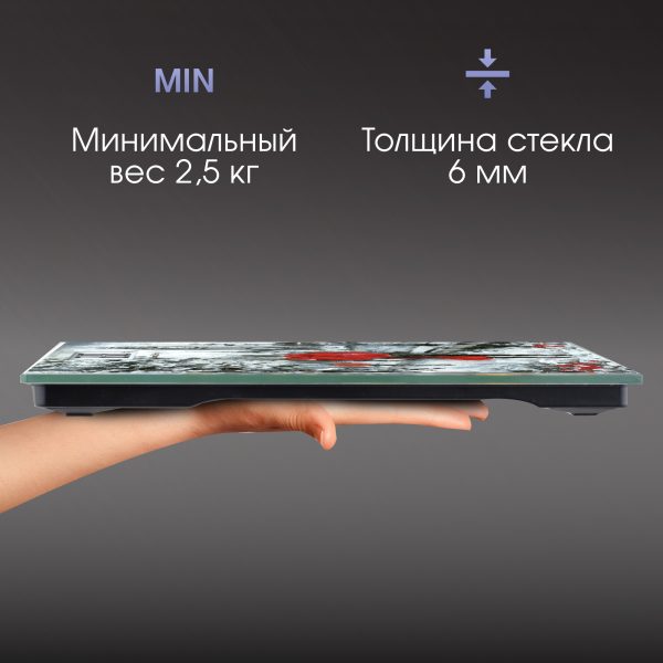 Напольные весы Zigmund & Shtain ZS-136