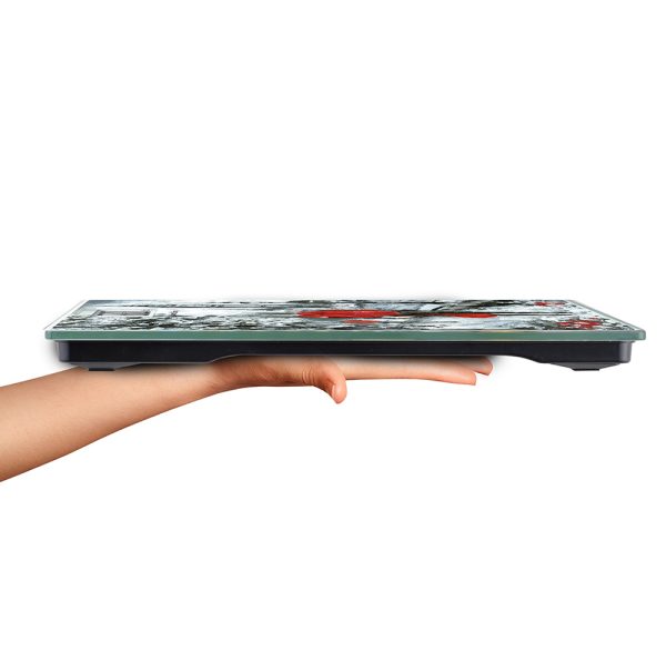 Напольные весы Zigmund & Shtain ZS-136