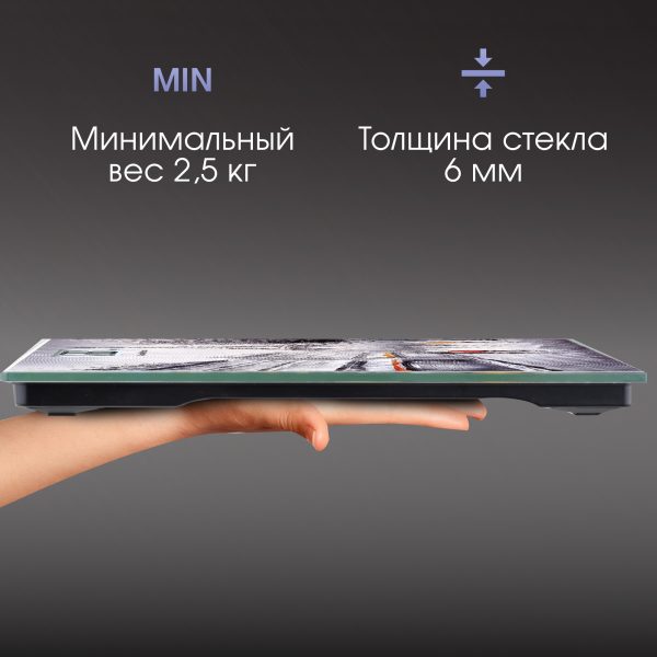 Напольные весы Zigmund & Shtain ZS-137