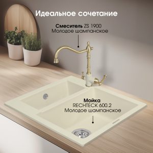 Кухонная мойка Zigmund & Shtain RECHTECK 600.2 МОЛОД.ШАМП