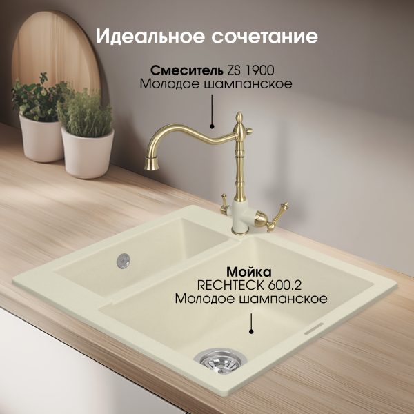 Кухонная мойка Zigmund & Shtain RECHTECK 600.2 МОЛОД.ШАМП