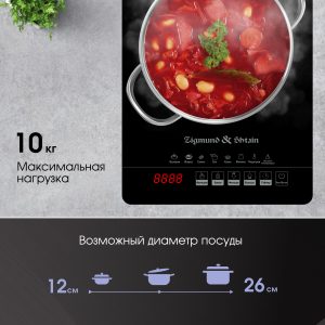 Настольная плита Zigmund & Shtain ZIP-558